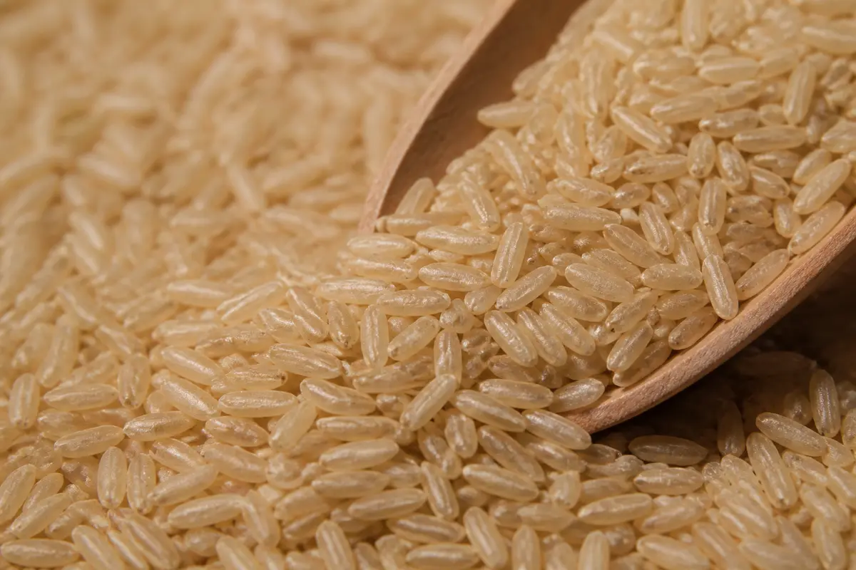 Riz brun : bienfaits, cuisson parfaite et recettes faciles